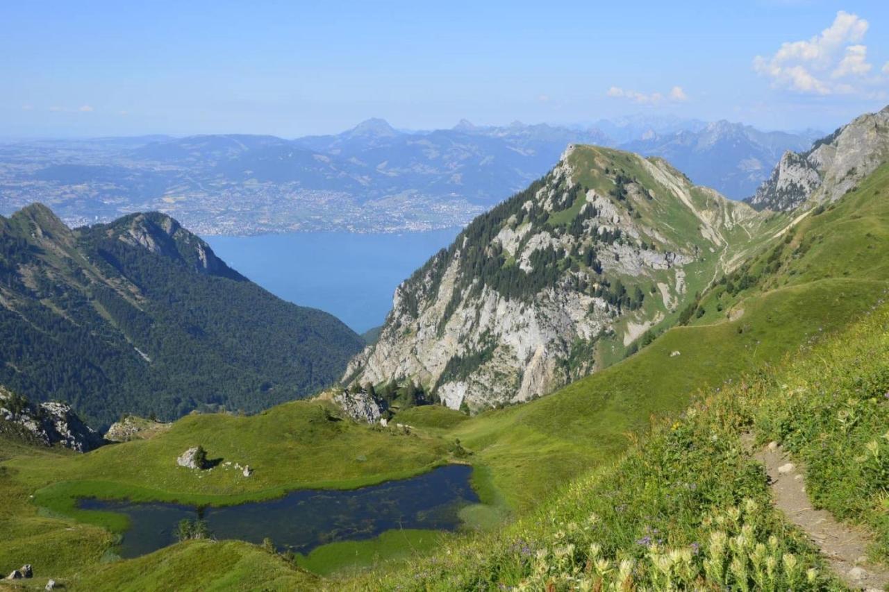 Le 67,Ski Et Randonnee,Lave Linge,Seche Linge,Parking Bernex Kültér fotó