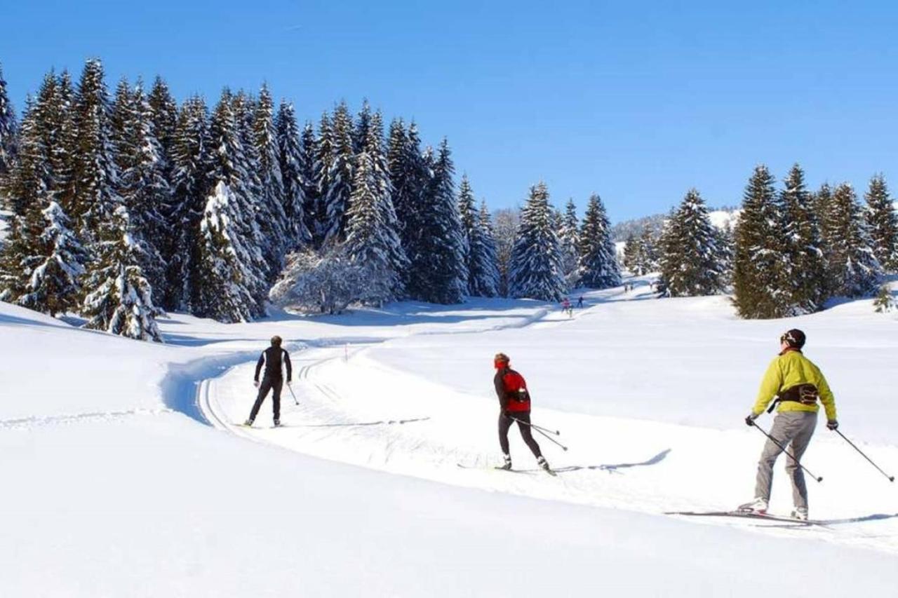 Le 67,Ski Et Randonnee,Lave Linge,Seche Linge,Parking Bernex Kültér fotó