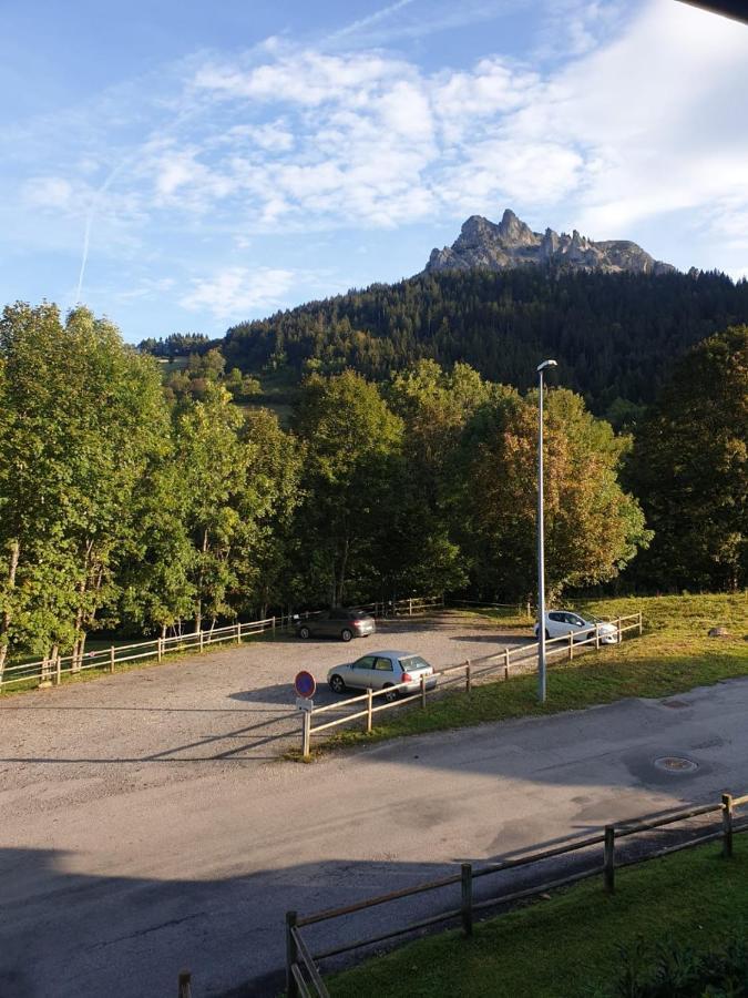 Le 67,Ski Et Randonnee,Lave Linge,Seche Linge,Parking Bernex Kültér fotó