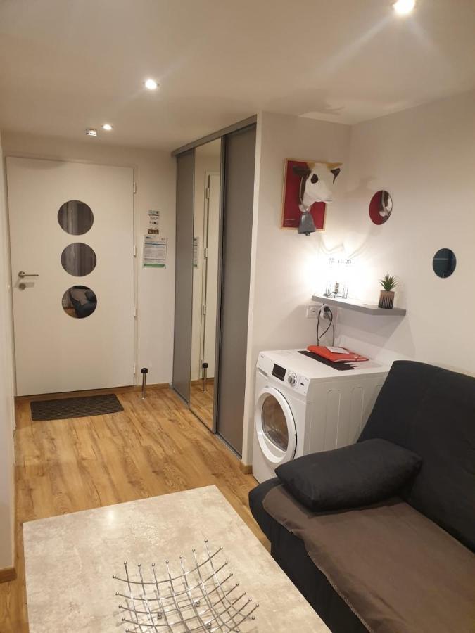 Le 67,Ski Et Randonnee,Lave Linge,Seche Linge,Parking Bernex Kültér fotó